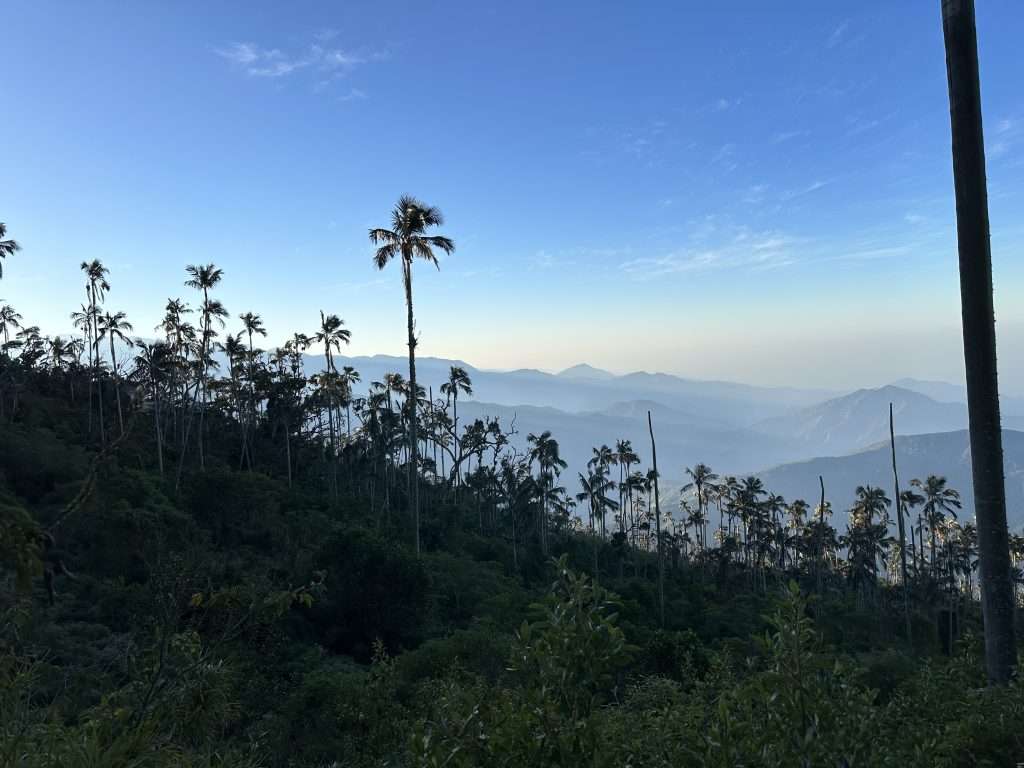 Where to Stay in Cali Colombia Cerro Kennedy View