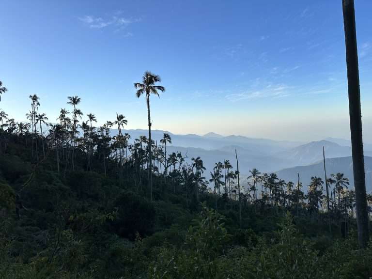 Cerro Kennedy View