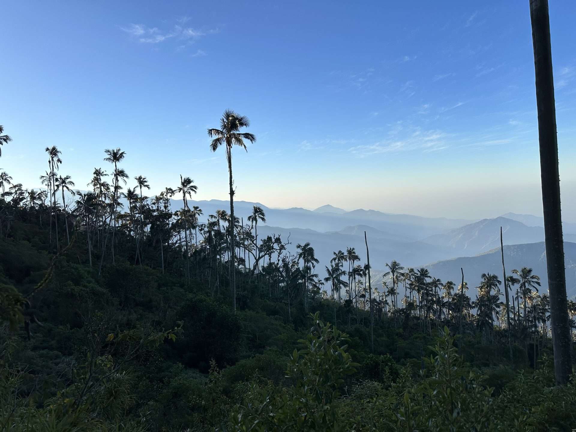Cerro Kennedy View