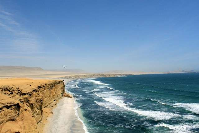best hostels hotels in paracas peru