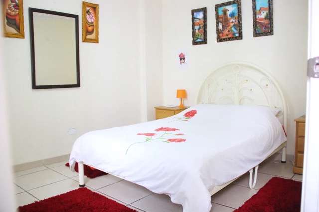 15 Best Hostels in Lima for the Ultimate Stay -