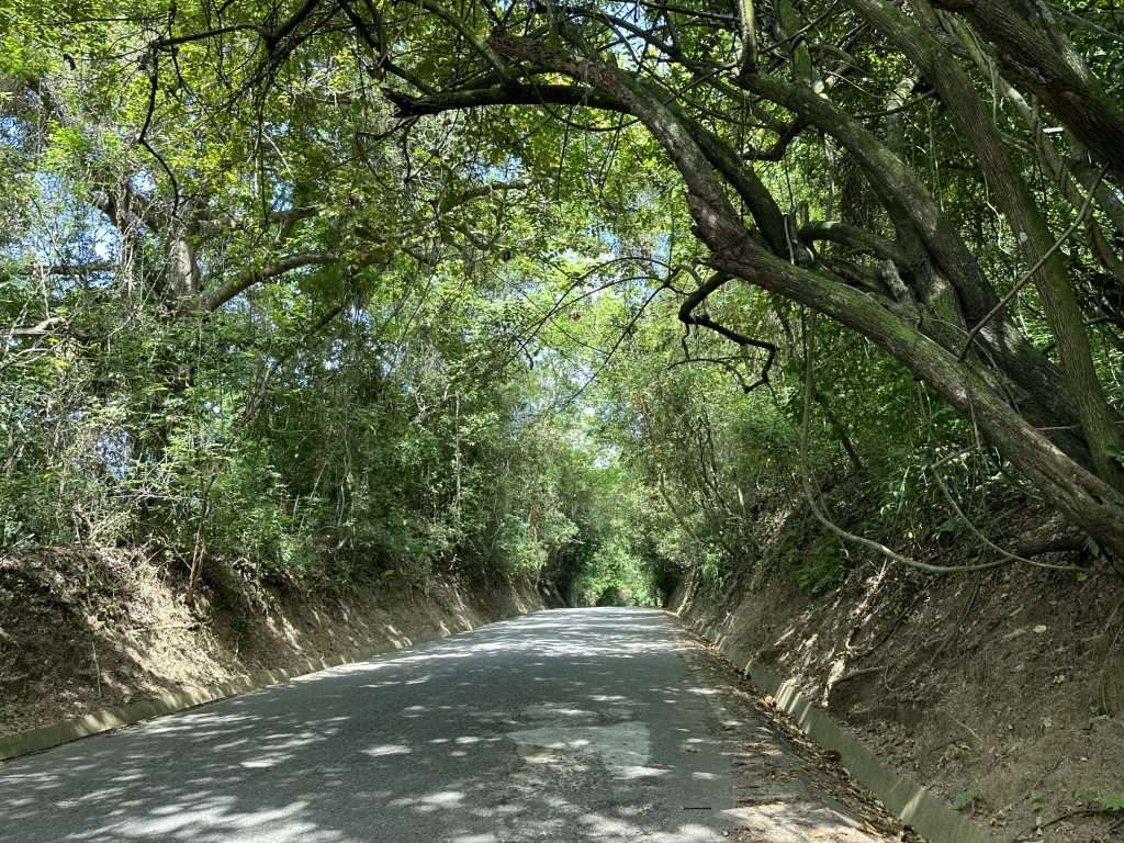 Tayrona Park Access Road