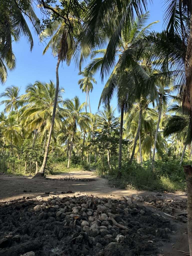 Essential Tayrona Park Guide - Everything You Need to Know -