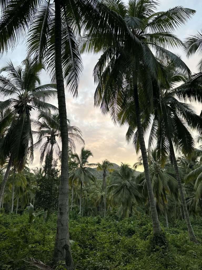 Essential Tayrona Park Guide - Everything You Need to Know -