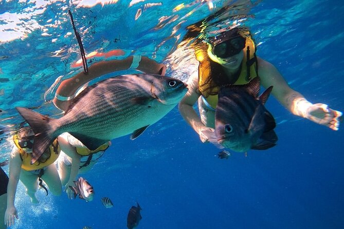 20 Best Places to Snorkel in Cozumel -