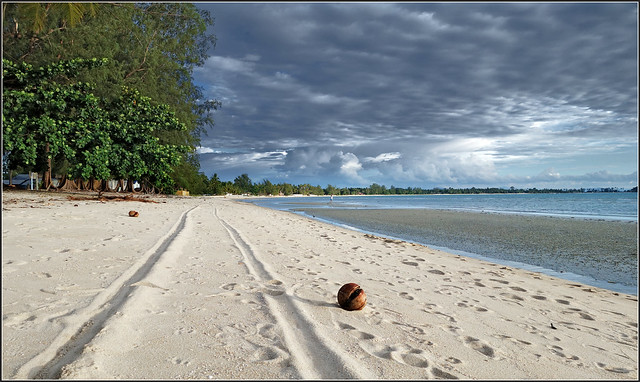 Things to Do in Koh Samui 50 Best Things to Do in Koh Samui -