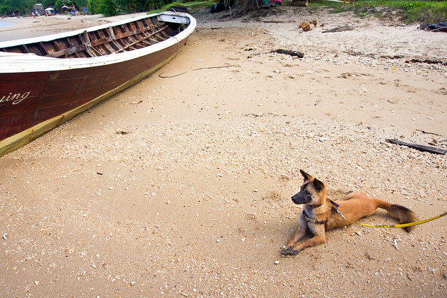 Is Krabi Safe? Unique Things You Need to Know -