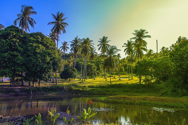 Things to Do in Koh Samui 50 Best Things to Do in Koh Samui -