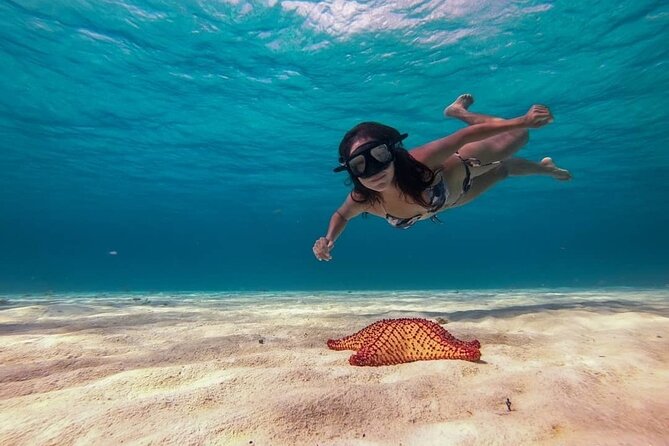 20 Best Places to Snorkel in Cozumel -