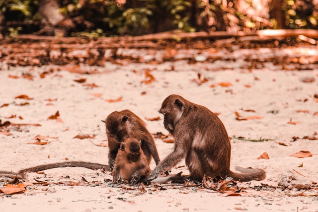 Is Krabi Safe? Unique Things You Need to Know -