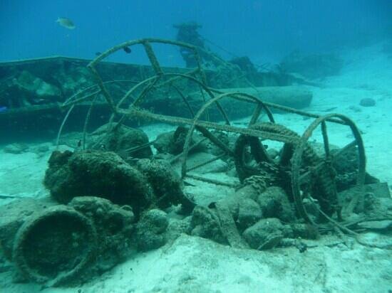 20 Best Places to Snorkel in Cozumel -