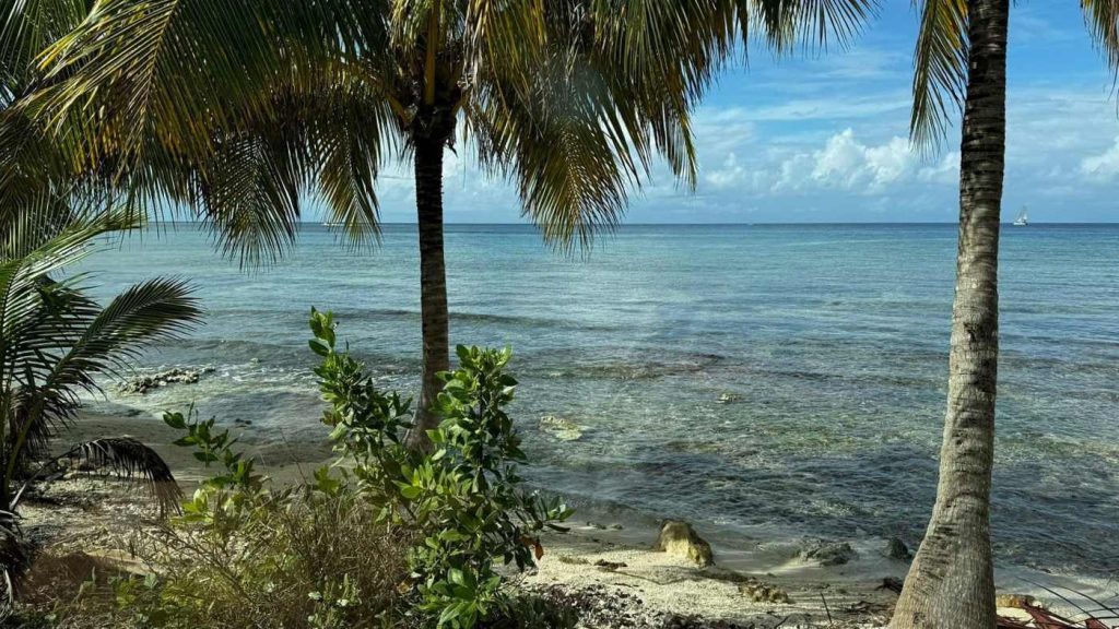 20 Best Places to Snorkel in Cozumel -