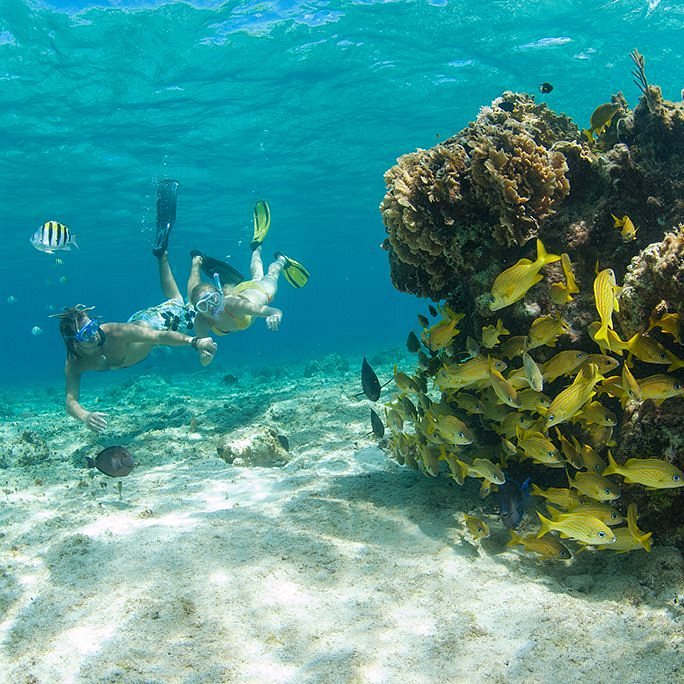 20 Best Places to Snorkel in Cozumel -