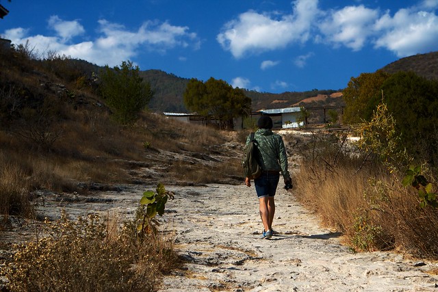 Is Oaxaca Safe? Unique Things You Need to Know -