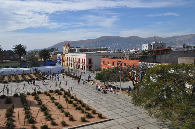 Is Oaxaca Safe? Unique Things You Need to Know -