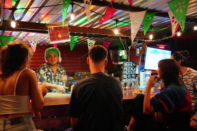 10 Best Hostels in Oaxaca for the Ultimate Stay -