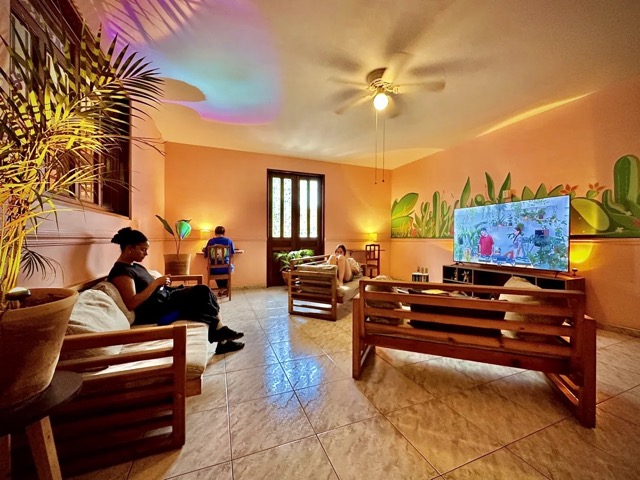 Best Hostels in Oaxaca