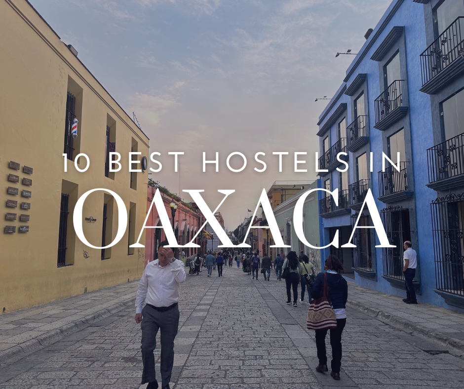 10 Best Hostels in Oaxaca for the Ultimate Stay -