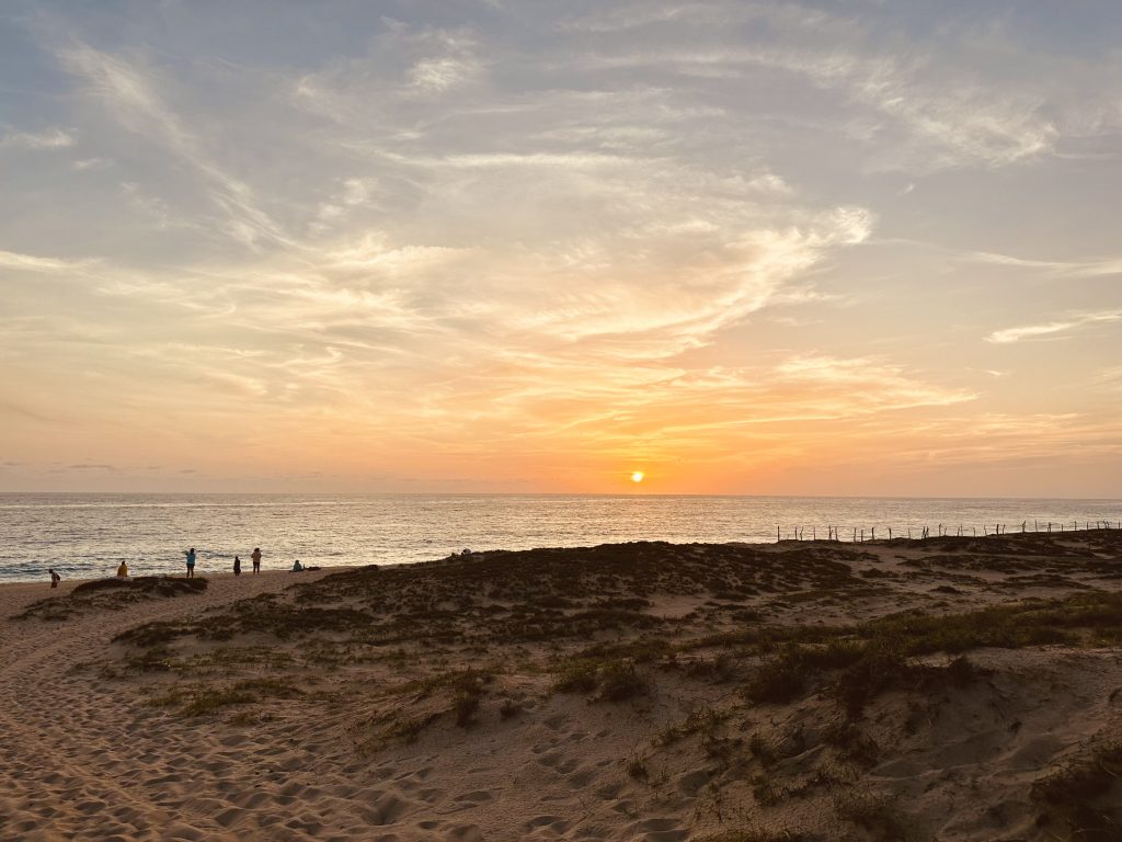 Playa Cachora - Todos Santos Mexico
